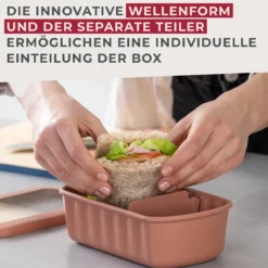 Flexibox Be The Move, rostrot, 1000ml, 3-tlg.