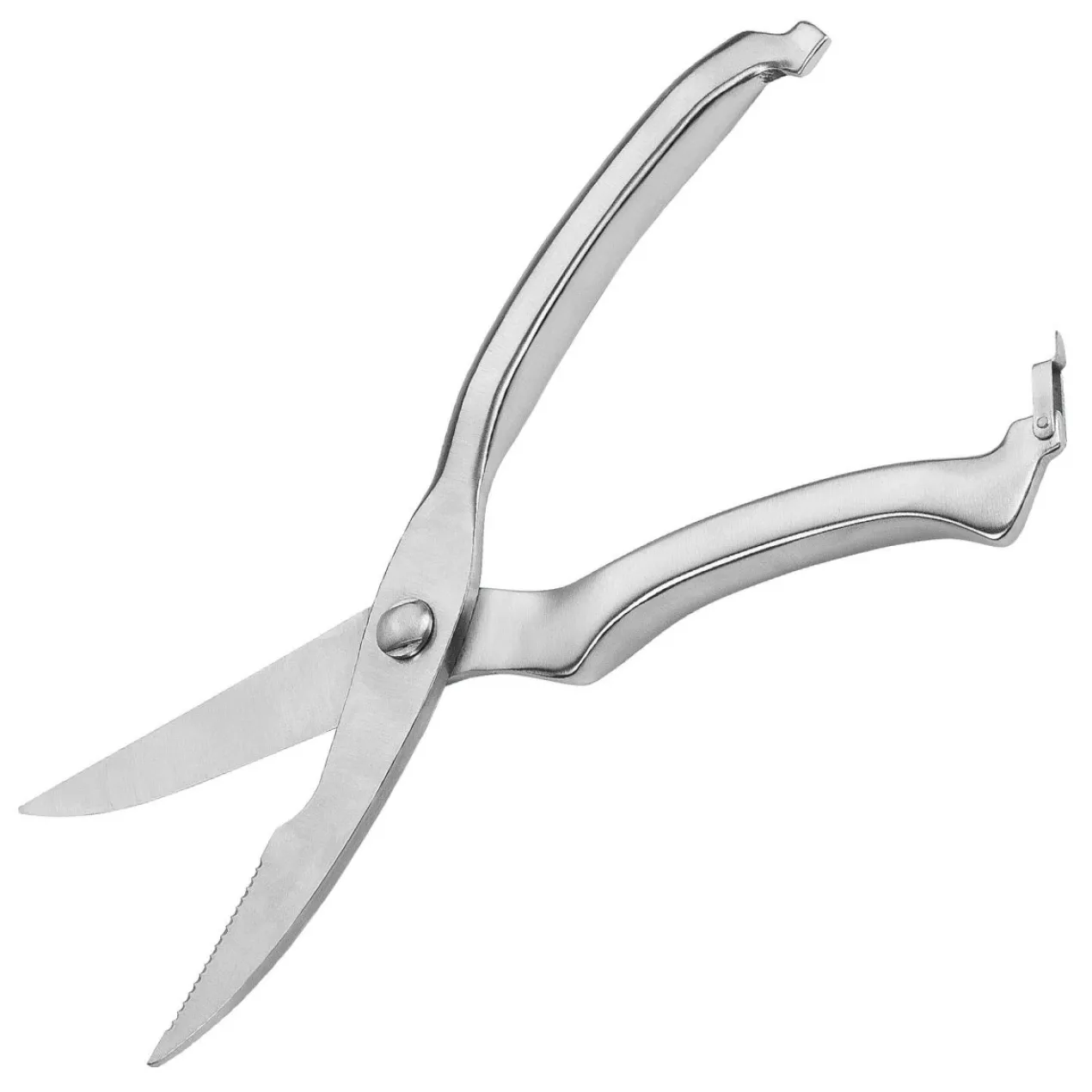 Geflügelschere, 25cm, Edelstahl