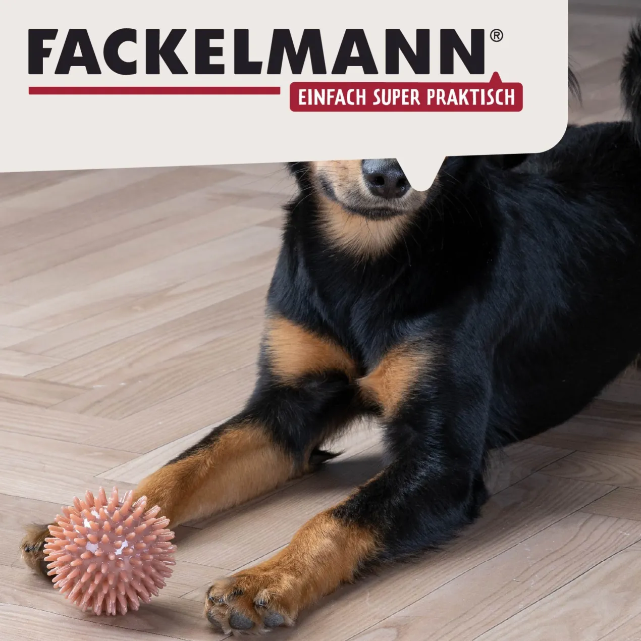 Hundespielzeug Ball Our Pets