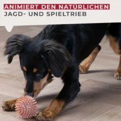 Hundespielzeug Ball Our Pets