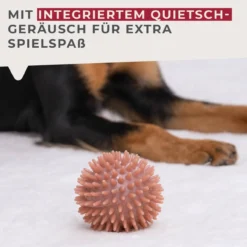 Hundespielzeug Ball Our Pets