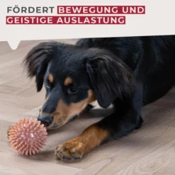 Hundespielzeug Ball Our Pets