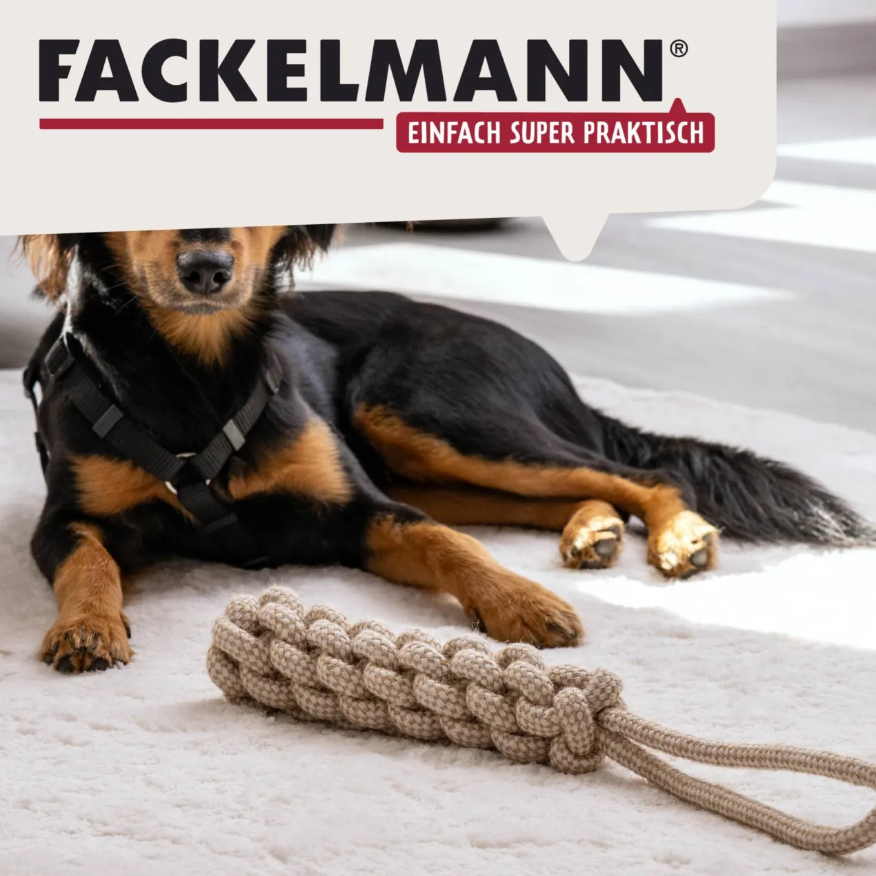 Hundespielzeug Seil Our Pets