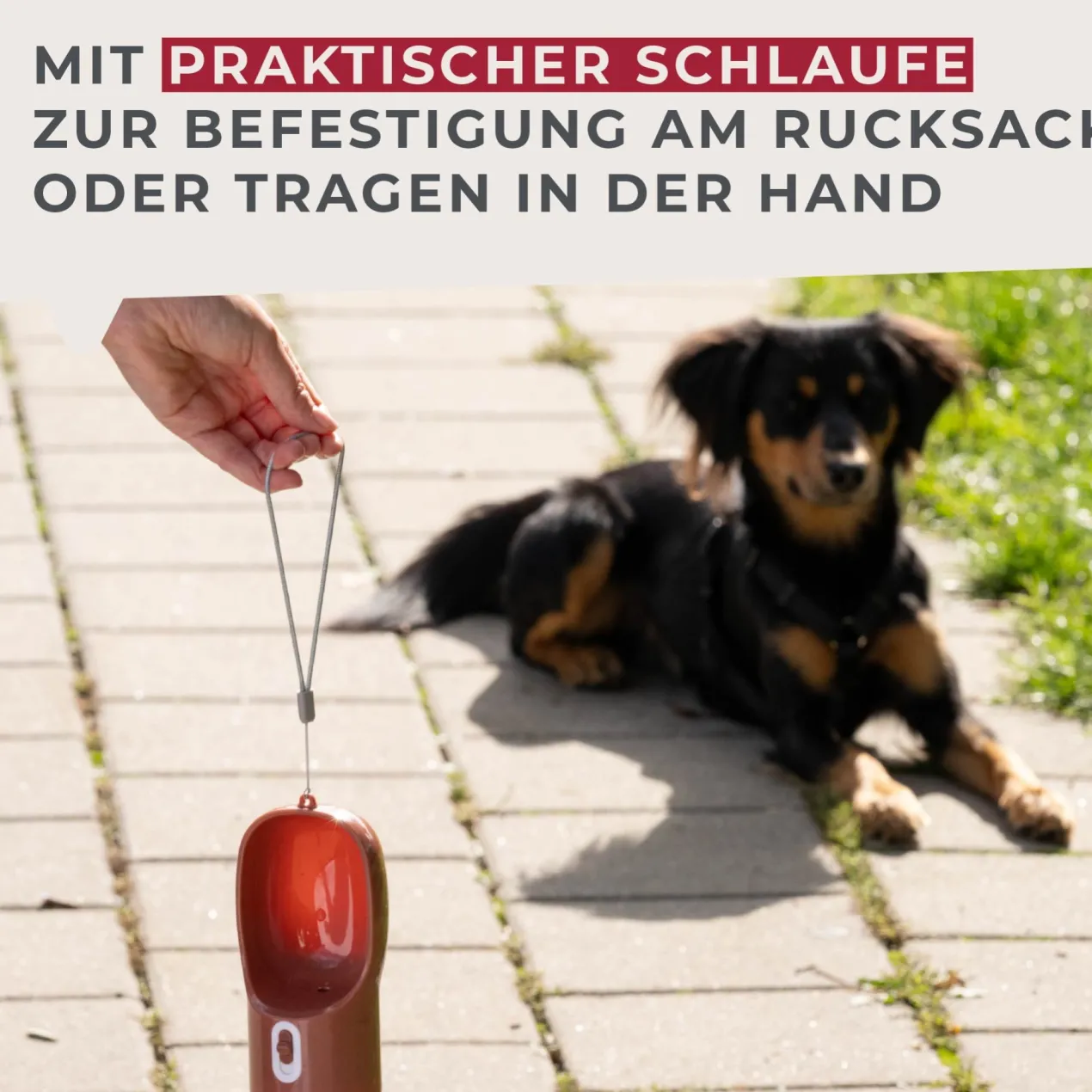 Hundetrinkflasche Our Pets