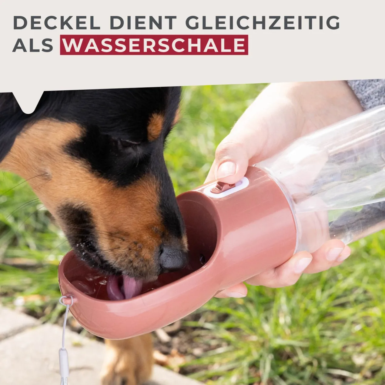 Hundetrinkflasche Our Pets