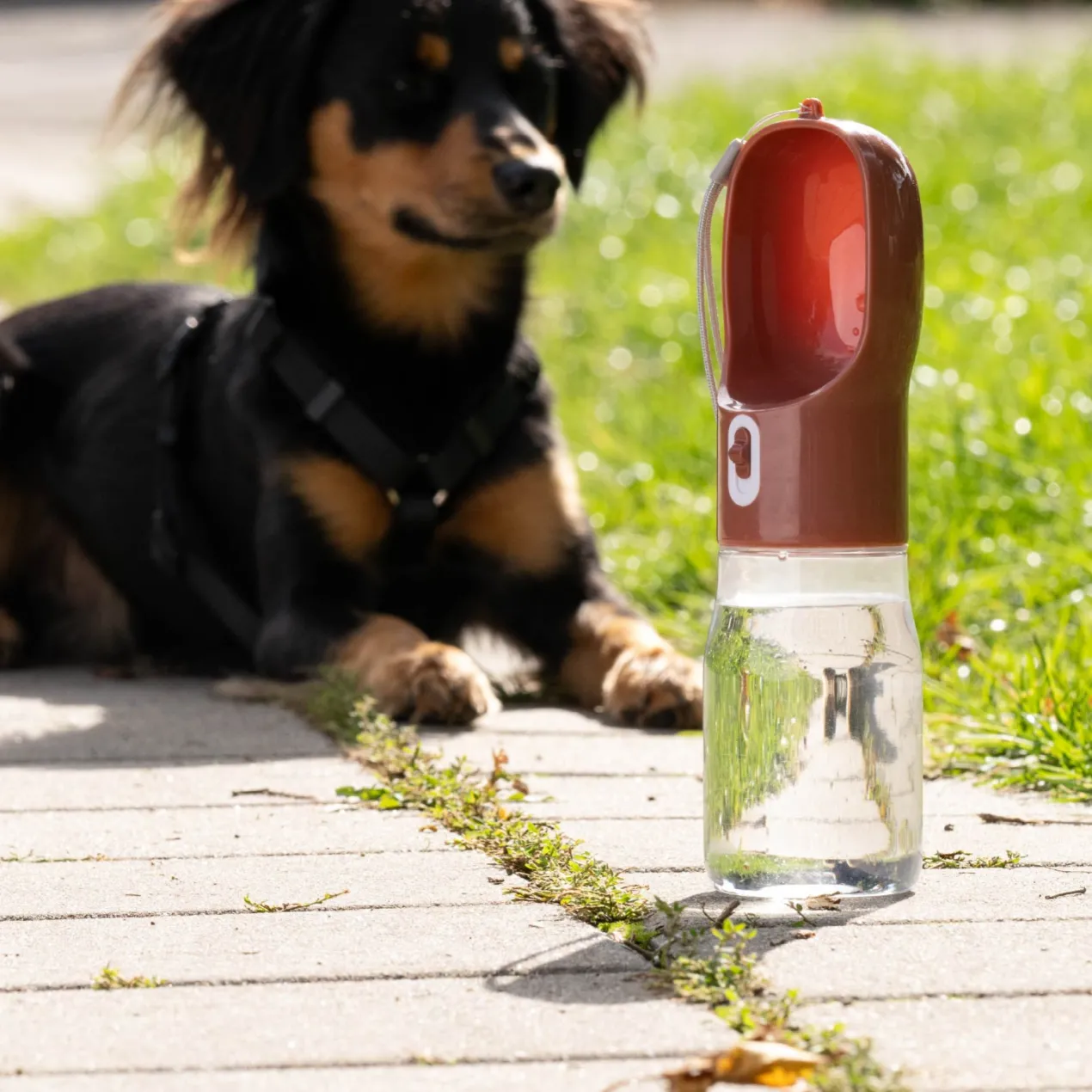 Hundetrinkflasche Our Pets