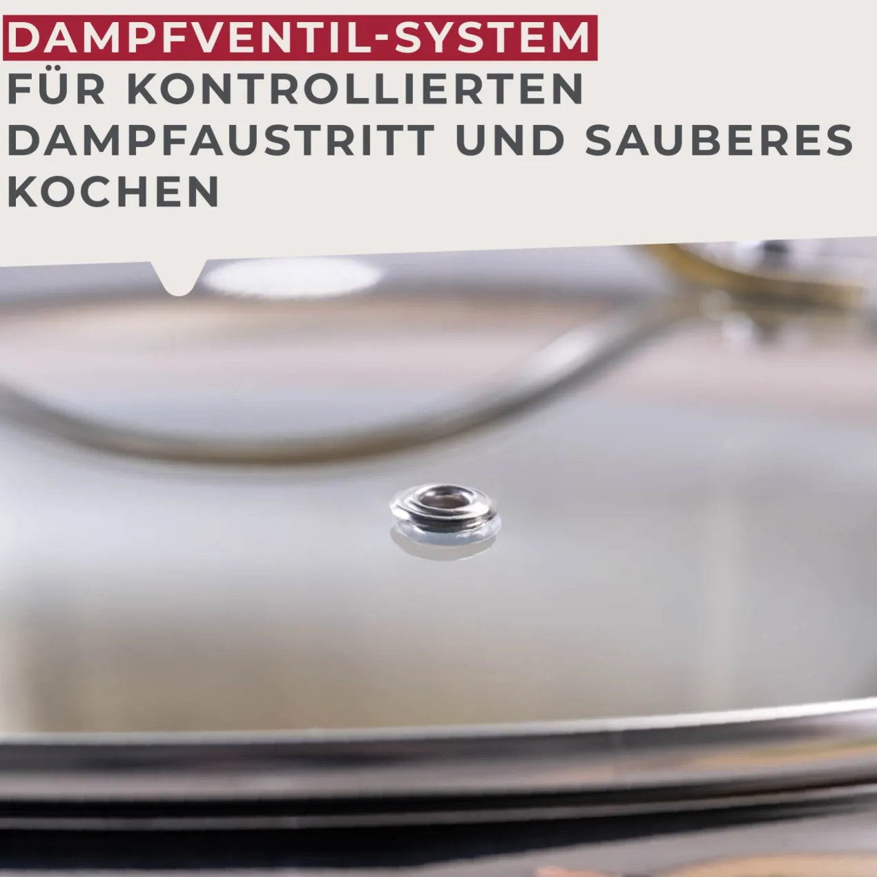 Kochtopf mit Deckel Lara, Ø24cm, Edelstahl