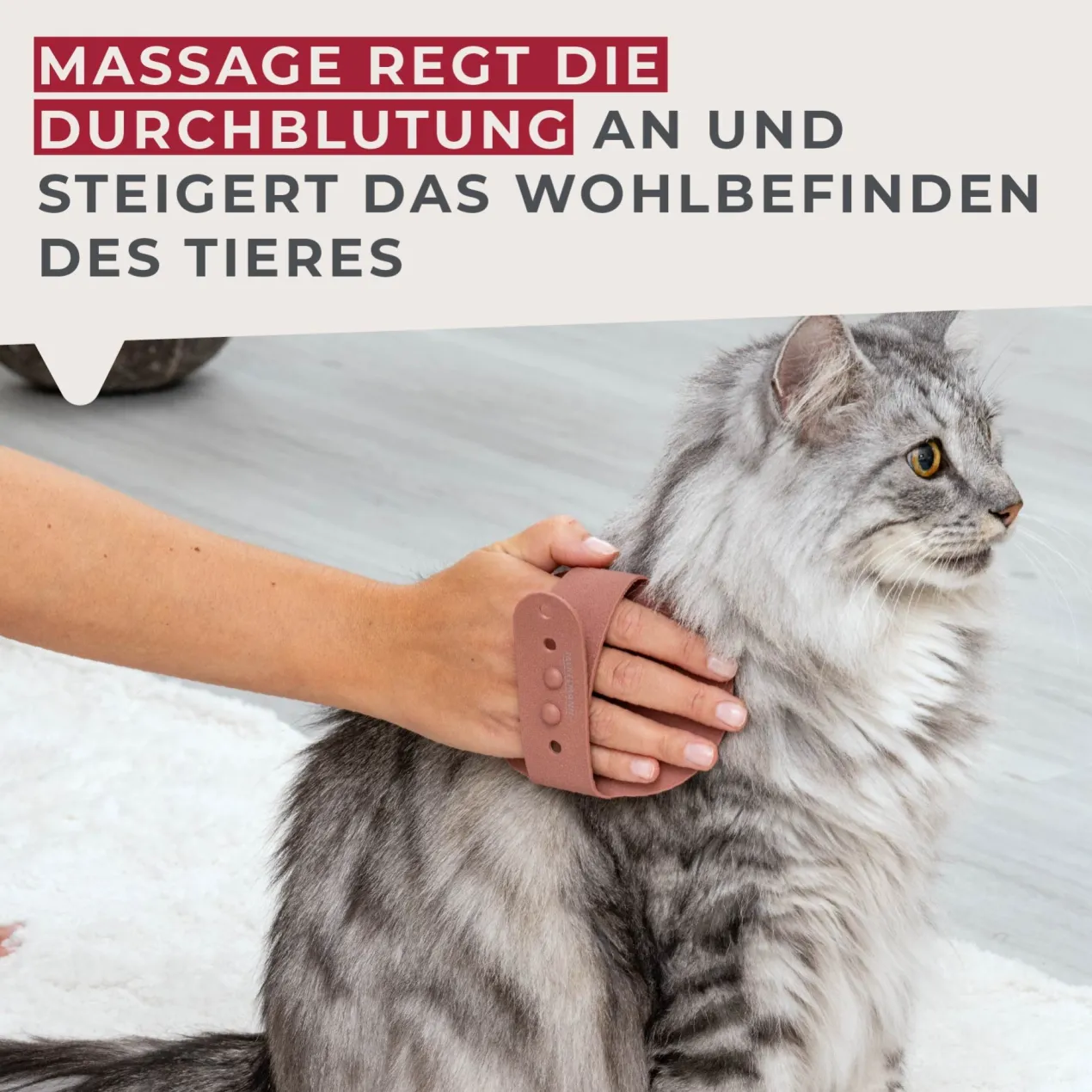 Massagebürste Our Pets