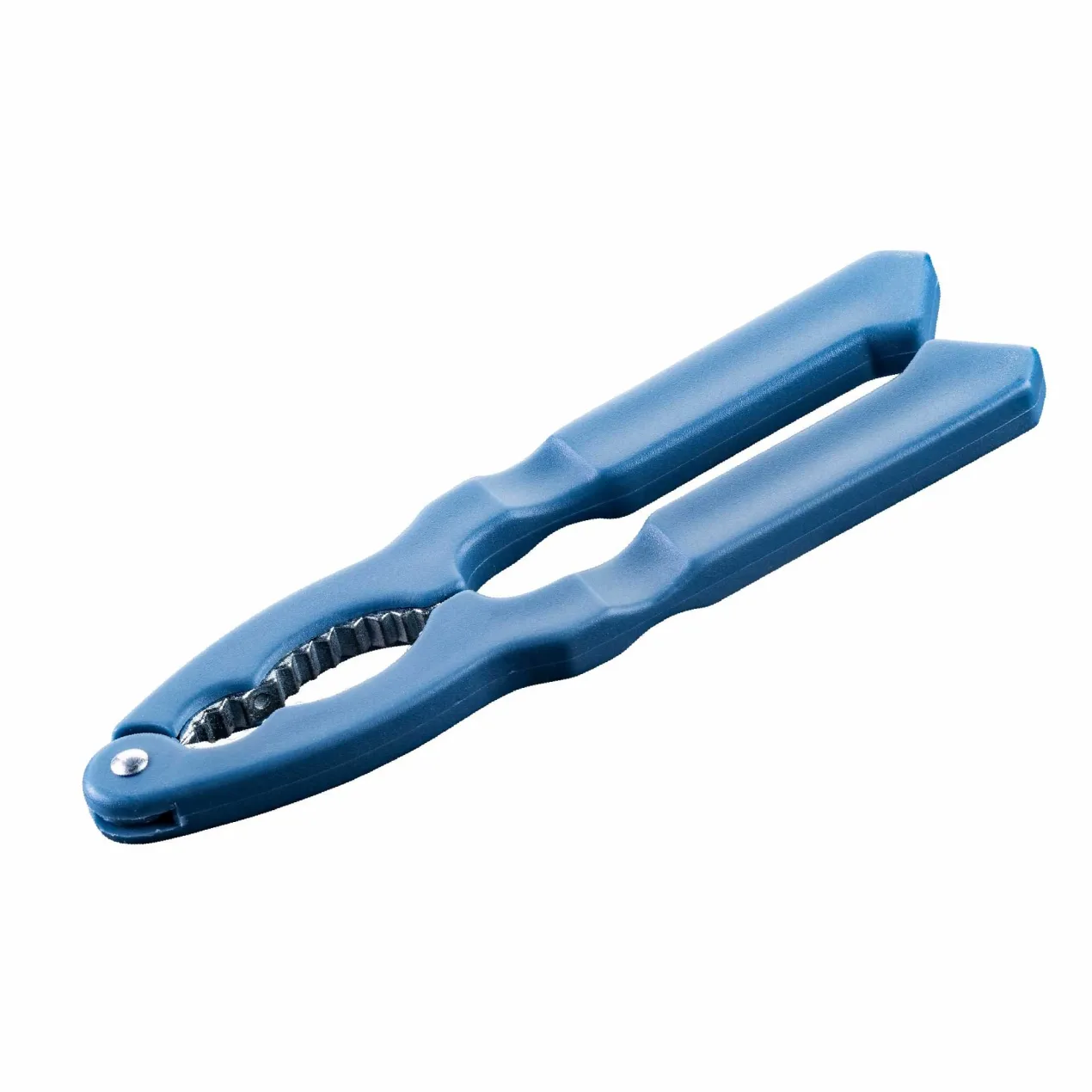Nussknacker Essential, blau