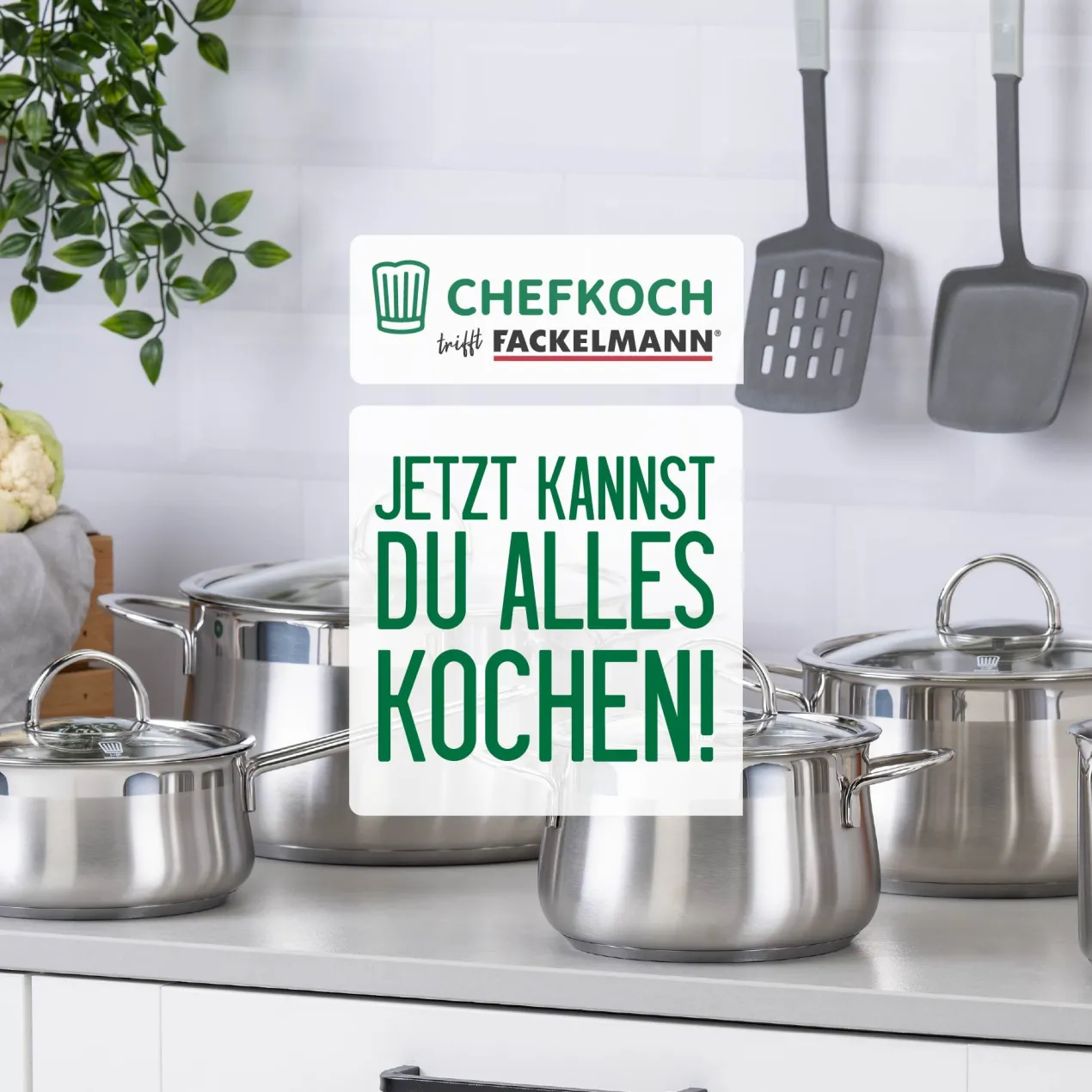 Parmesanreibe mit Behälter, 3-teilig