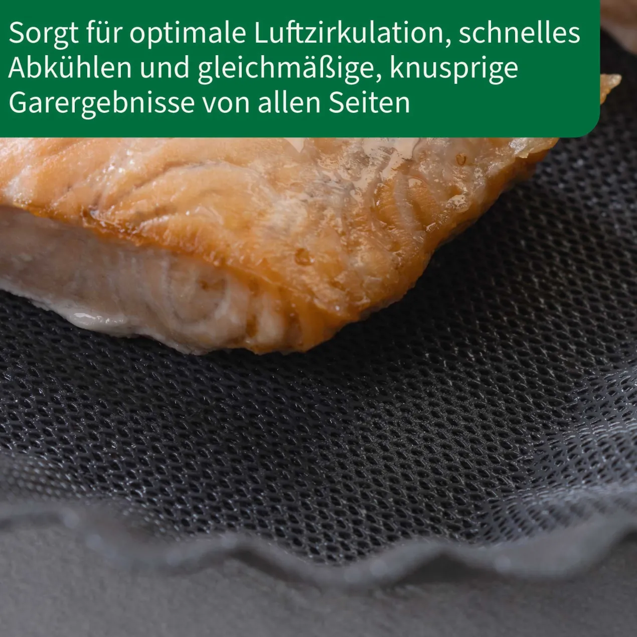 Silikonform für Heißluftfritteuse München, antihaft, 21x21cm