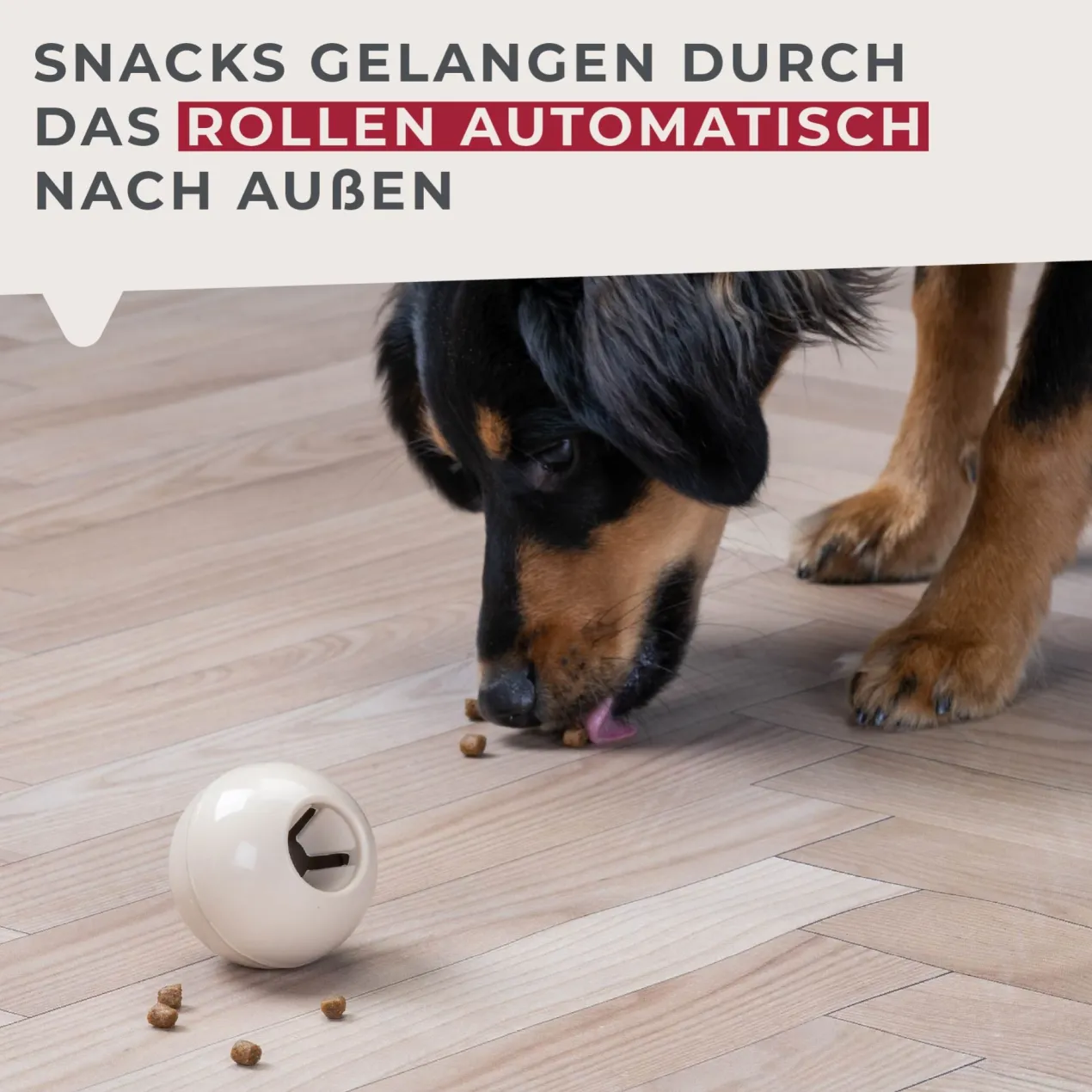 Snack-Ball Our Pets beige, klein
