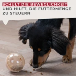Snack-Ball Our Pets halb-transparent