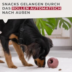 Snack-Ball Our Pets rot, groß