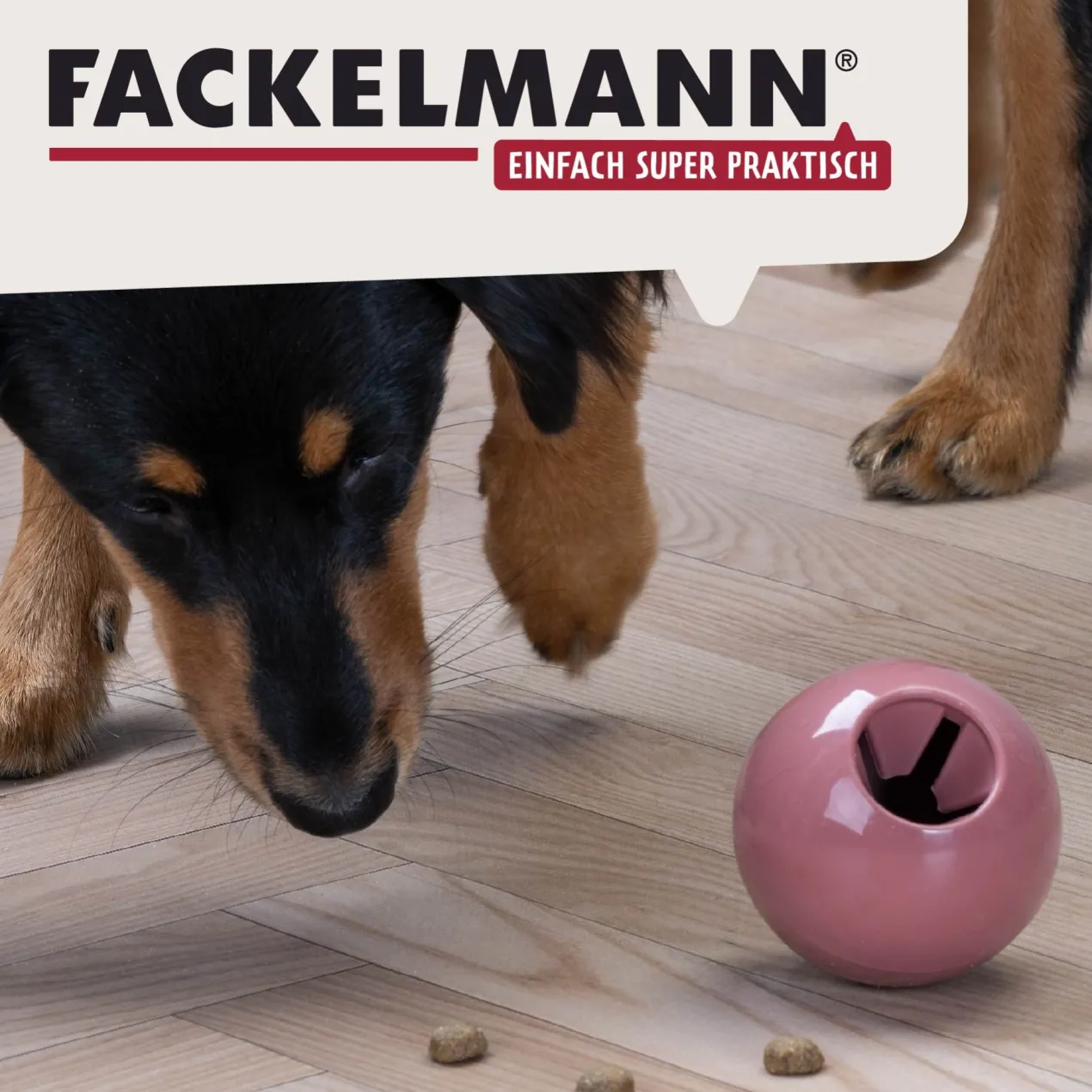 Snack-Ball Our Pets rot, groß
