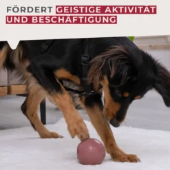 Snack-Ball Our Pets rot, groß