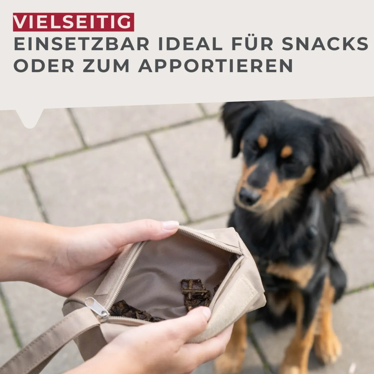 Snackbeutel Our Pets