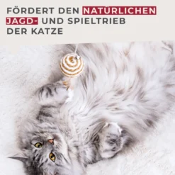 Spielzeugangel für Katzen Our Pets