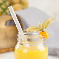 Strohhalm Smoothie, 20cm, Mehrweg, 50 Stk., transparent