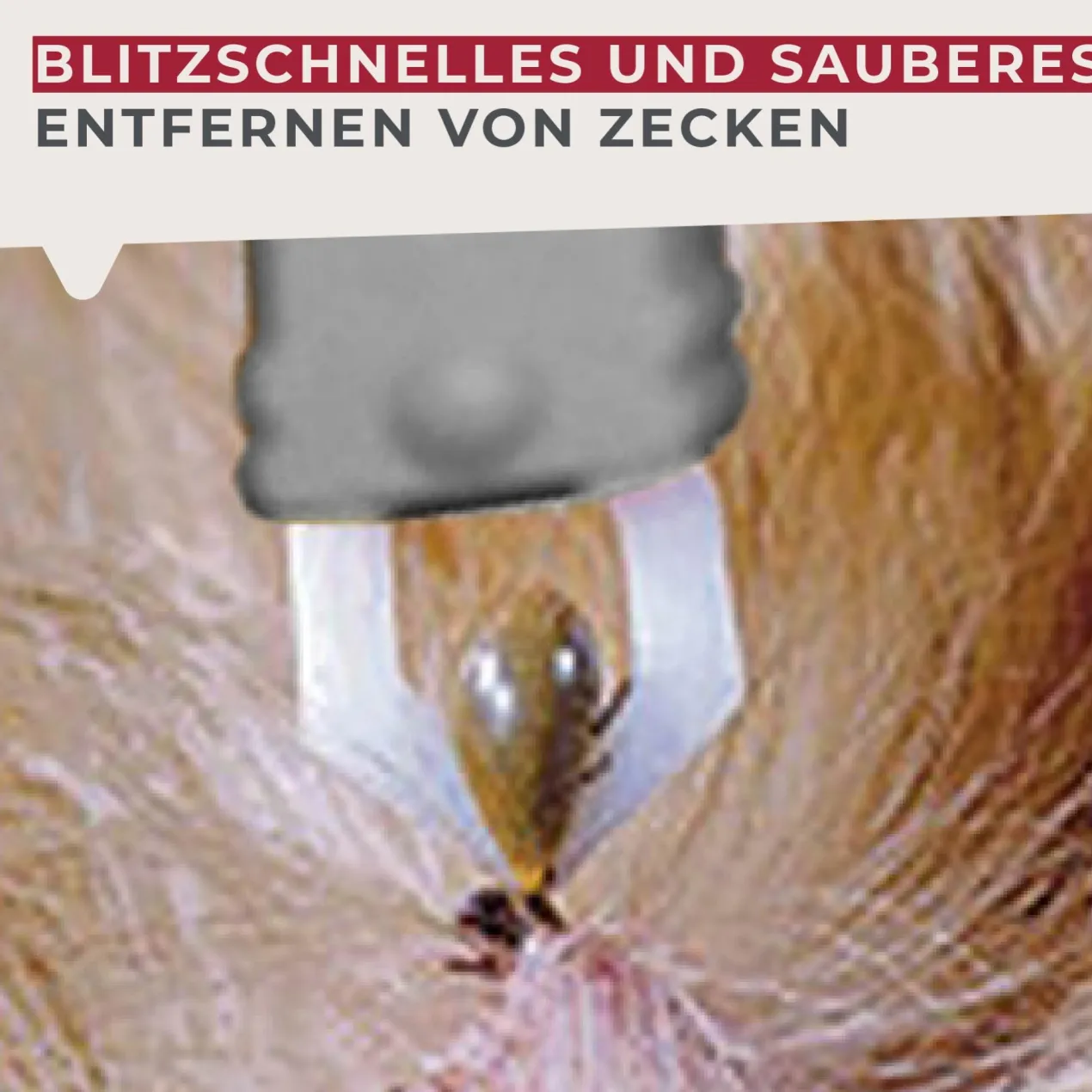 Zeckenzange